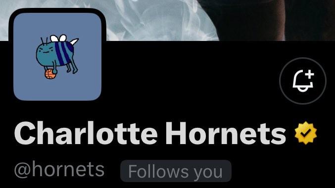 集體卡通風，夏洛特黃蜂新頭像手繪蜜蜂上線