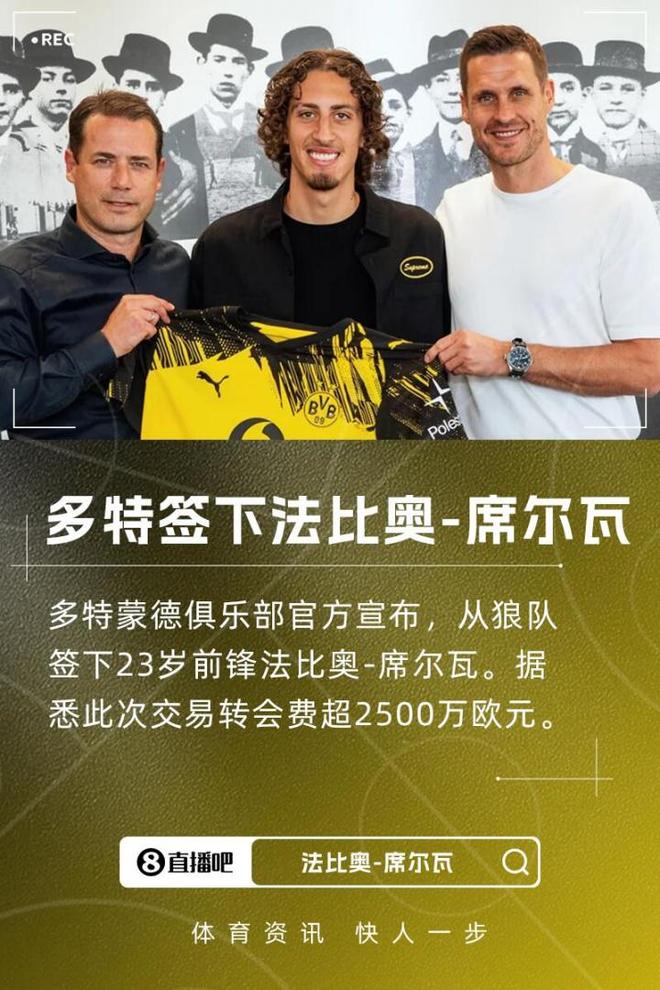 多特新援法比奧，2500萬(wàn)歐加盟，球隊(duì)實(shí)力強(qiáng)，有望歐冠奪冠。